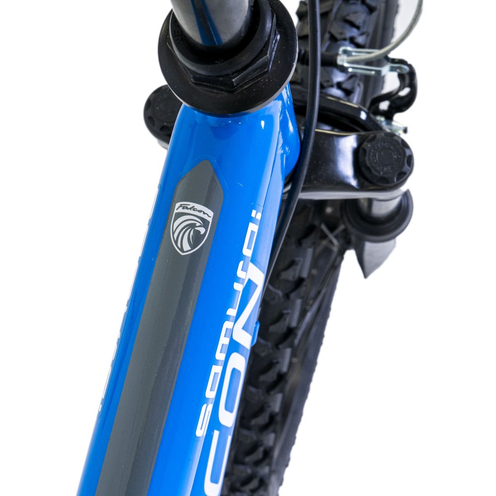 Falcon Samurai 20" Kids Mountain Bike